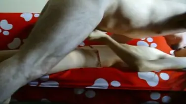 ABG Bispak Jakarta Hotel Mewah 2026